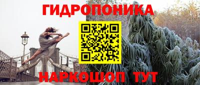 МДПВ Краснознаменск
